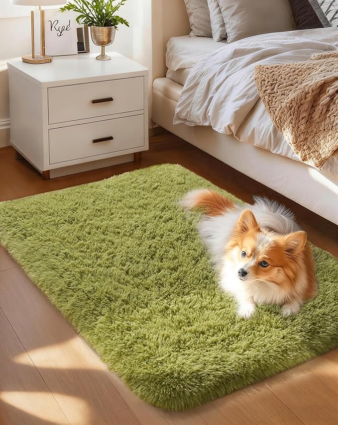 Ophanie Small Rug Washable Non Slip Throw Bedside Area Rugs, Fluffy Soft Green Mini Bedroom Carpet, Affordable Door Entryway Indoor Inside Front Entrance Dog 2x3 Mat, Home Decor Aesthetic, Nursery