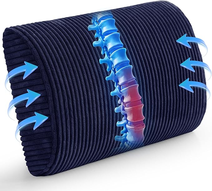 HIGOGOGO Lumbar Support Pillow for Recliner Chair/Accent Chair/Couch, Large Memory Foam Back Support Cushion for Elderly, Recliner Cushions for Back Rest, Pain Relief, Reading, Washable Cover, Navy