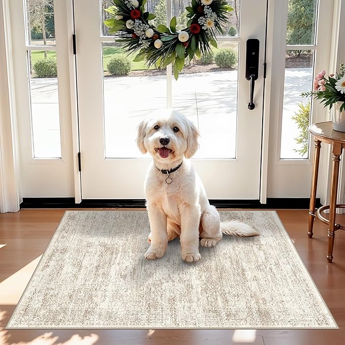 2x3 Feet Washable Entryway Rug, Non-Slip Small Kitchen Throw Mat for Sink, Soft Low-Pile Stain & Fade-Resistant Indoor Mat for Pet Area & Bathroom (Cream/Beige)