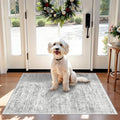 Washable Rug 2x3 for Entryway, Small Non-Slip Kitchen Throw Mat for Sink, Soft Low-Pile Stain & Fade-Resistant Indoor Mat for Pet Area & Bathroom (Grey/Ivory)