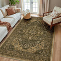 RELEANY Area Rugs 5'x8' Washable Non-Slip, Floral Vintage Distress Medallion Carpet for Living Room Bedroom Dining Room, Brown Dark Brown