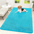 OLANLY Dog Door Mat for Muddy Paws 59x35, Absorbs Moisture and Dirt, Absorbent Non-Slip Washable Doormat, Quick Dry Chenille Mud Mat for Dogs, Entry Indoor Entryway Carpet for Inside Floor, Aqua Blue