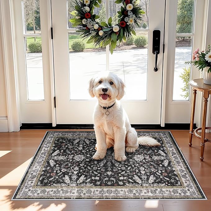 2x3 Rug Non-Slip Washable for Kitchen – Boho Small Throw Rug for Sink & Entryway, Soft Low Pile Thin Indoor Mat for Pet Area & Bathroom (Black, 2x3)