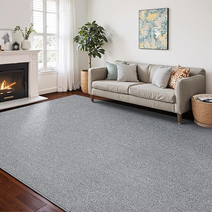 CHAMPLANT Washable Area Rug 8x10 Feet Grey Non Slip Living Room Kitchen Rugs Indoor Entryway Rug Floor Carpet for Dining Living Room Bedroom
