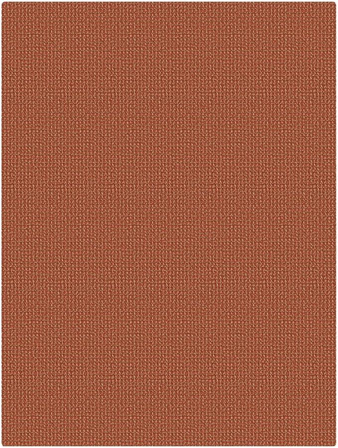 KOZYFLY Washable 3x4 Woven Entry Area Rug, Braided Throw Rugs for Entryway, Non Slip Door Mat Indoor Outdoor Entrance, Front Porch Foyer Carpet for Kitchen, mudroom, Bathroom, Burnt Orange/Tan