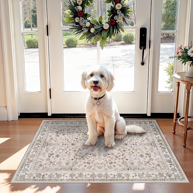2x3 Non-Slip Washable Kitchen Rug – Boho Small Accent Rug for Sink & Entryway, Soft Low Pile Thin Carpet for Pet Area & Bathroom, Indoor Door Mat (Beige,2x3)