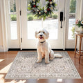 2x3 Non-Slip Washable Kitchen Rug – Boho Small Accent Rug for Sink & Entryway, Soft Low Pile Thin Carpet for Pet Area & Bathroom, Indoor Door Mat (Beige,2x3)