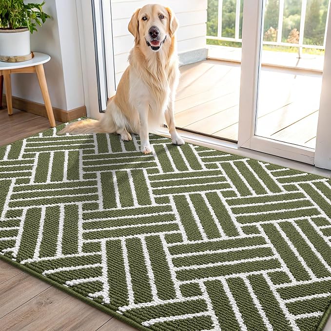 OLANLY Indoor Door Mat, 48x32 Inch, Dirt Resistant and Absorbent, Non-Slip Rubber Backing Floor Mats, Easy Clean Low-Profile Doormat for Entryway, Front Door, and Inside Entrance, Green