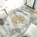 RELEANY Area Rugs 3'x4' Washable Non-Slip, Floral Vintage Distress Medallion Carpet for Living Room Bedroom Dining Room, Beige Carbon Grey Orange