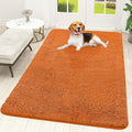 OLANLY Dog Door Mat for Muddy Paws 59x35, Absorbs Moisture and Dirt, Absorbent Non-Slip Washable Doormat, Quick Dry Chenille Mud Mat for Dogs, Entry Indoor Entryway Carpet for Inside Floor, Clay