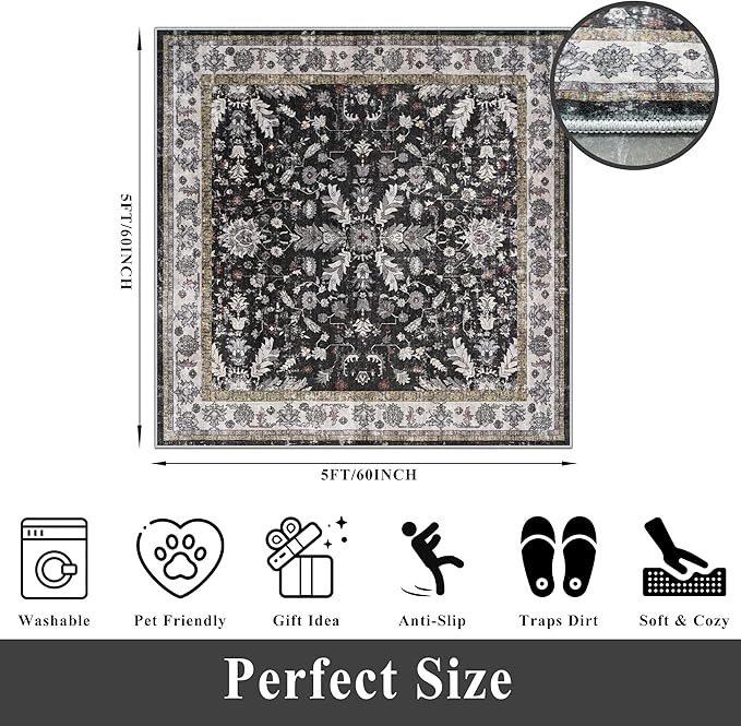 Square Rugs 5x5 Washable for Entryway: Non Slip Indoor Foot Carpet for Living Room, Boho Soft Black 5'x5' Low Pile Neutral Area Rug for Kitchen Dining Room Bathroom (Black, 5x5)