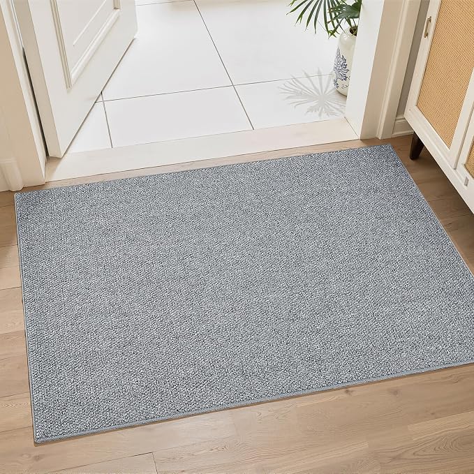 CHAMPANT Indoor Door Mat 2x3 Feet Small Grey Area Rug Washable Front Door Mat Anti Slip Entrance Carpet Front Porch Bathroom Kitchen Bedroom Entrance