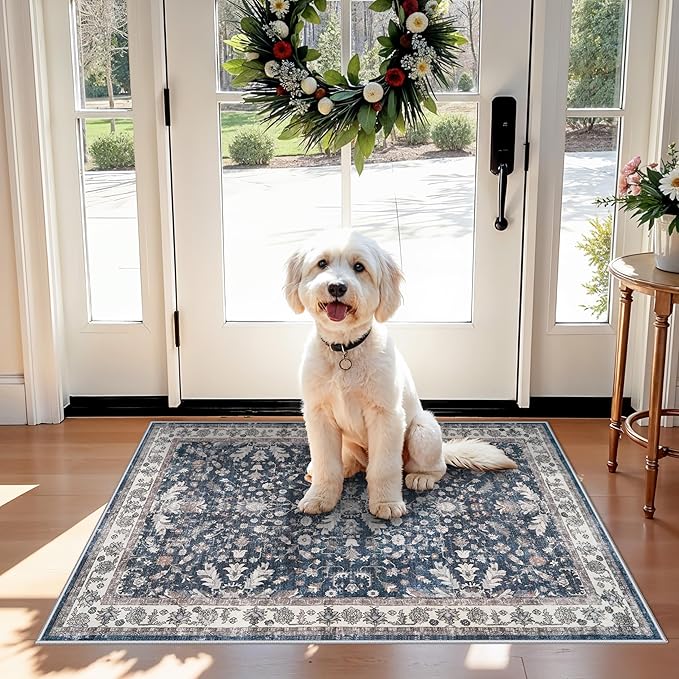 2x3 Non-Slip Washable Kitchen Rug - Boho Soft Small Area Rug for Sink, Entryway, Pet Area & Bathroom - Low Pile Thin Indoor Door Mat (Blue,2x3)